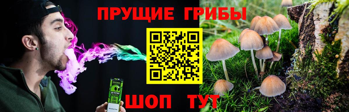 Галлюциногенные грибы Cubensis Электрогорск