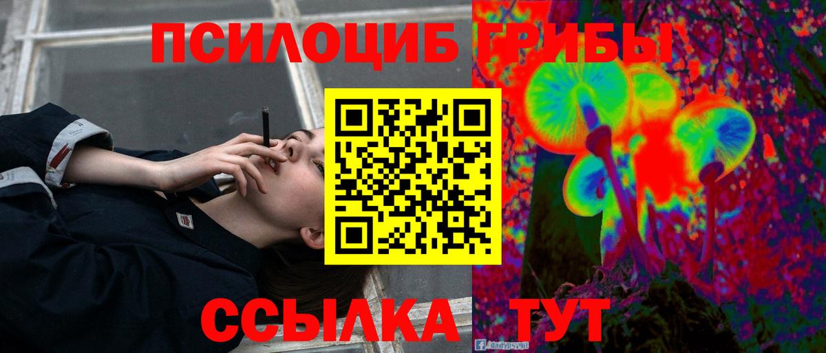 Электрогорск  Псилоцибиновые грибы ЛСД  Вход с VPN 